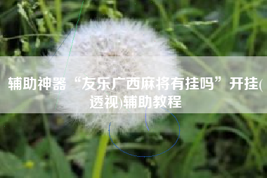辅助神器“友乐广西麻将有挂吗”开挂(透视)辅助教程