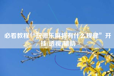 必看教程“玩微乐麻将有什么规律”开挂(透视)辅助