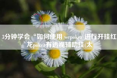 3分钟学会“如何使用 wepoker 进行开挂红龙poker有透视辅助挂(太