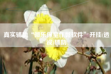 真实辅助“微乐保皇作弊软件	”开挂(透视)辅助