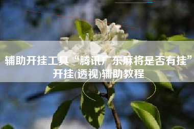 辅助开挂工具“腾讯广东麻将是否有挂”开挂(透视)辅助教程