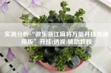 实测分析“微乐浙江麻将万能开挂器通用版”开挂(透视)辅助教程