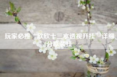 玩家必搜“欣欣十三水透视开挂”详细分享装挂