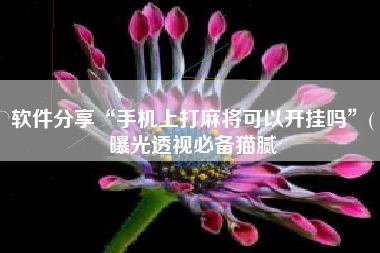 软件分享“手机上打麻将可以开挂吗”(曝光透视必备猫腻