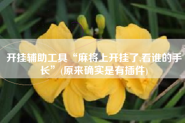 开挂辅助工具“麻将上开挂了,看谁的手长”(原来确实是有插件)