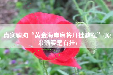 真实辅助“黄金海岸麻将开挂教程	”(原来确实是有挂)