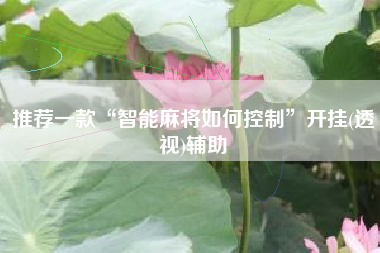 推荐一款“智能麻将如何控制”开挂(透视)辅助