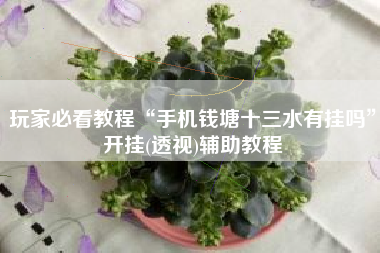 玩家必看教程“手机钱塘十三水有挂吗”开挂(透视)辅助教程