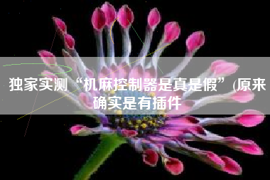 独家实测“机麻控制器是真是假”(原来确实是有插件