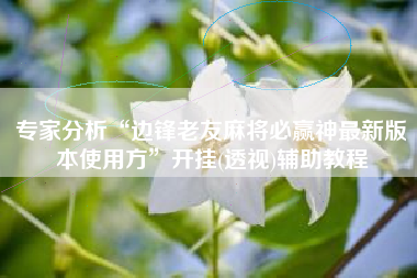 专家分析“边锋老友麻将必赢神最新版本使用方	”开挂(透视)辅助教程