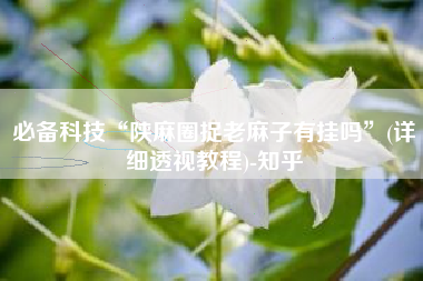 必备科技“陕麻圈捉老麻子有挂吗”(详细透视教程)-知乎