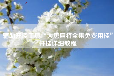 辅助开挂工具“大唐麻将全集免费用挂”开挂详细教程