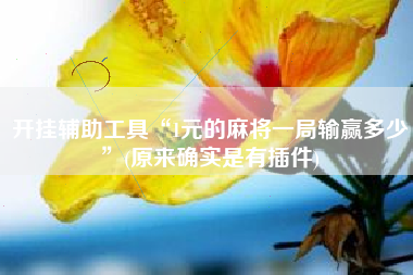 开挂辅助工具“1元的麻将一局输赢多少”(原来确实是有插件)