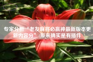 专家分析“老友麻将必赢神最新版本更新内容分	”(原来确实是有插件