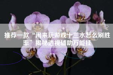 推荐一款“闲来玩游戏十三水怎么刷胜率	”揭秘透视辅助万能挂