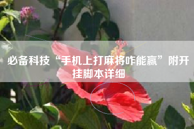 必备科技“手机上打麻将咋能赢”附开挂脚本详细