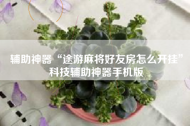 辅助神器“途游麻将好友房怎么开挂	”科技辅助神器手机版