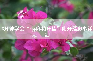 3分钟学会“app麻将开挂”附开挂脚本详细