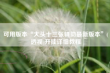 可用版本“大头十三张辅助最新版本”(透视)开挂详细教程 可用版本“大头十三张辅助最新版本”(透视)开挂详细教程