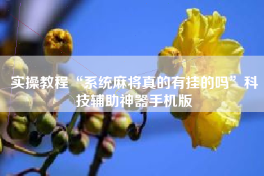 实操教程“系统麻将真的有挂的吗”科技辅助神器手机版 实操教程“系统麻将真的有挂的吗”科技辅助神器手机版