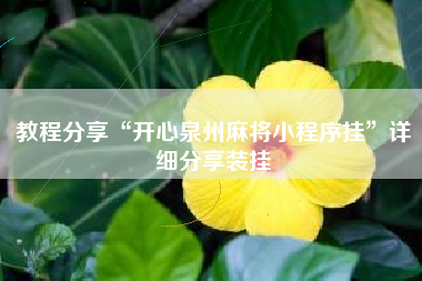 教程分享“开心泉州麻将小程序挂”详细分享装挂