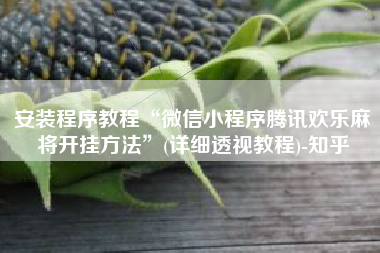 安装程序教程“微信小程序腾讯欢乐麻将开挂方法”(详细透视教程)-知乎