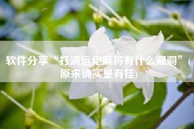 软件分享“打清远佬麻将有什么漏洞”(原来确实是有挂)