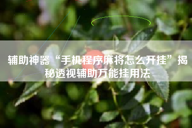 辅助神器“手机程序麻将怎么开挂	”揭秘透视辅助万能挂用法