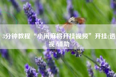 3分钟教程“小闲麻将开挂视频	”开挂(透视)辅助