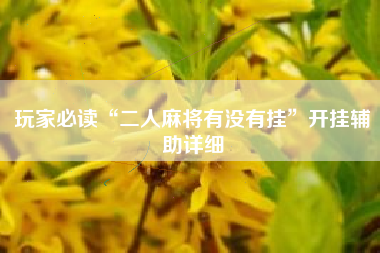 玩家必读“二人麻将有没有挂”开挂辅助详细