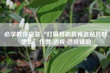 必学教你安装“打麻将助赢神器贴片好使么”作弊(透视)透视辅助