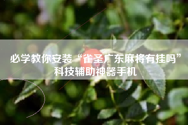 必学教你安装“雀圣广东麻将有挂吗	”科技辅助神器手机