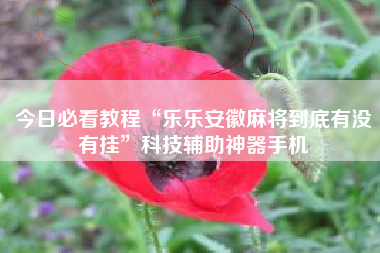 今日必看教程“乐乐安徽麻将到底有没有挂”科技辅助神器手机