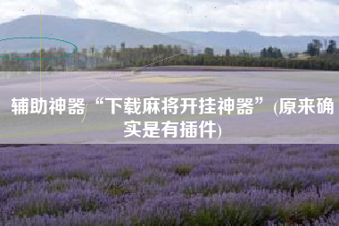 辅助神器“下载麻将开挂神器”(原来确实是有插件)