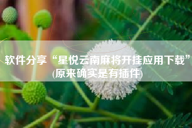 软件分享“星悦云南麻将开挂应用下载”(原来确实是有插件) 软件分享“星悦云南麻将开挂应用下载”(原来确实是有插件)