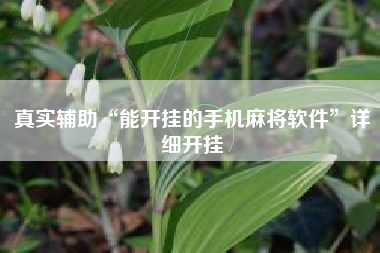 真实辅助“能开挂的手机麻将软件	”详细开挂