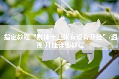 指定教程“财神十三张有没有开挂	”(透视)开挂详细教程