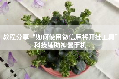 教程分享“如何使用微信麻将开挂工具	”科技辅助神器手机