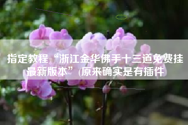 指定教程“浙江金华佛手十三道免费挂最新版本	”(原来确实是有插件