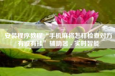 安装程序教程“手机麻将怎样检查对方有没有挂”辅助器 - 实时智能