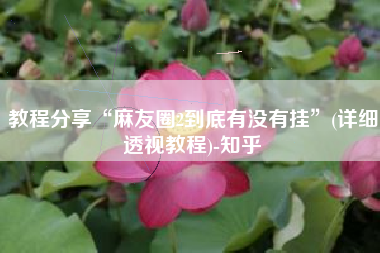 教程分享“麻友圈2到底有没有挂	”(详细透视教程)-知乎