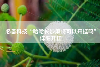 必备科技“哈哈长沙麻将可以开挂吗”详细开挂