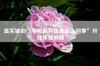 真实辅助“手机麻将挂是怎么回事”开挂详细教程