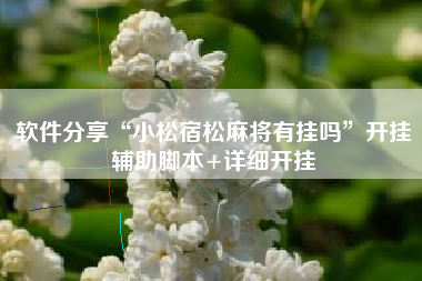 软件分享“小松宿松麻将有挂吗”开挂辅助脚本+详细开挂