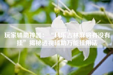 玩家辅助神器：“科乐吉林麻将有没有挂”揭秘透视辅助万能挂用法