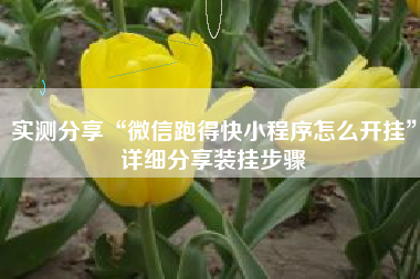 实测分享“微信跑得快小程序怎么开挂”详细分享装挂步骤