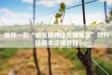 推荐一款“微友麻将挂在哪里买	”附开挂脚本详细教程