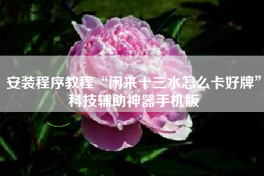 安装程序教程“闲来十三水怎么卡好牌	”科技辅助神器手机版