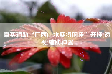 真实辅助“广西山水麻将的挂	”开挂(透视)辅助神器