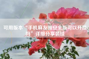 可用版本“手机麻友圈安全版可以开挂吗”详细分享装挂
